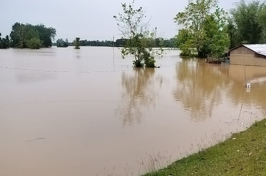 assam flood 2022 situation 5
